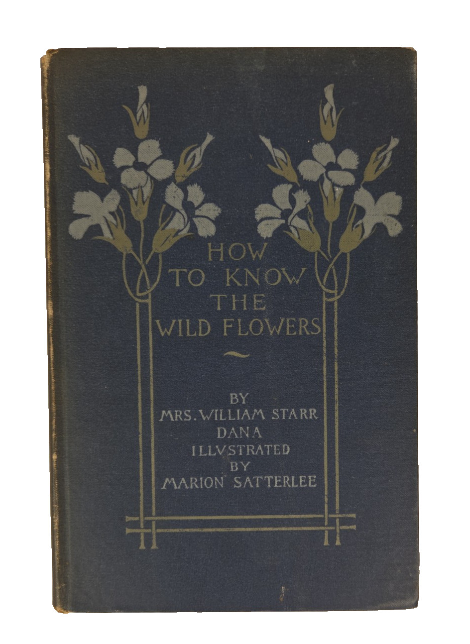 How to Know the Wild Flowers by Mrs. William Starr Dana Scribner’s 1893