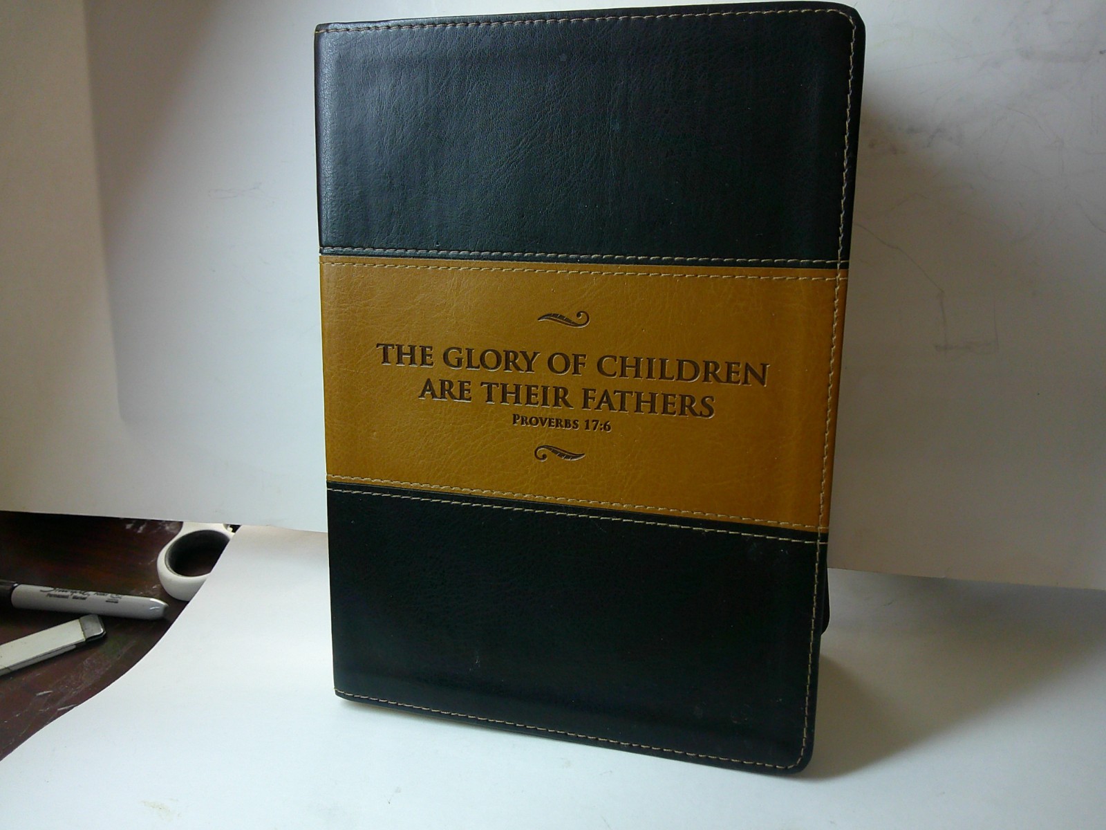 BEAUTIFUL KJV STUDY BIBLE BONDED LEATHER 2012 TWO TONE HOLMAN NICE