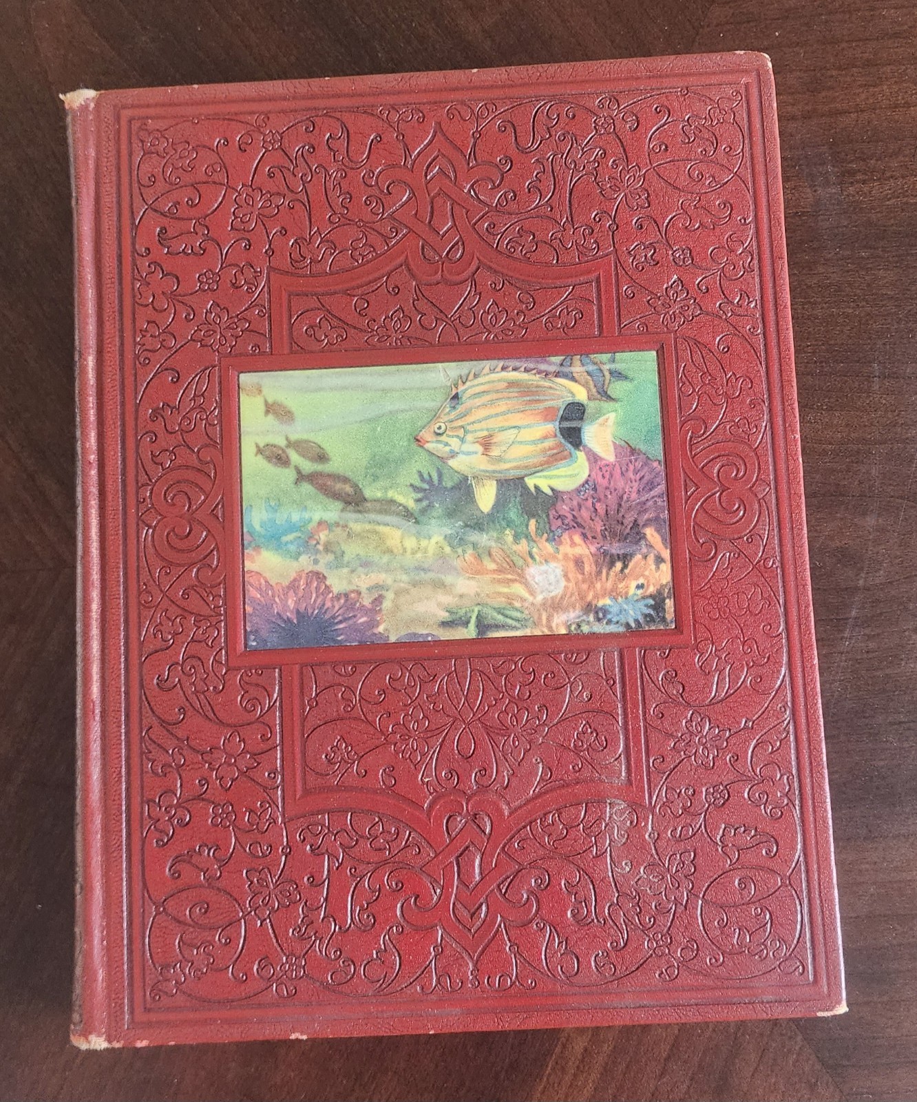 Antique The New Wonder World Vol. X – The Wonder of Life – Geo. L. Shuman 1937