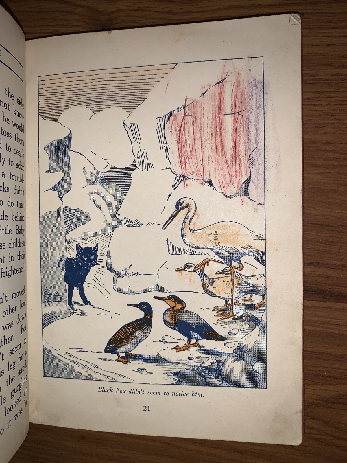 The Northland Bird Life by Roy Snell 1924 Golden Book of Artic Books
