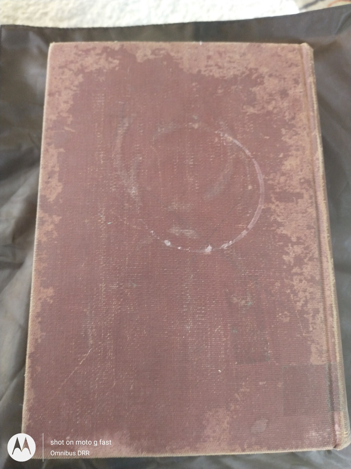 Antique Outlines of the History of Art by Dr. Wilhelm Lubke 1911 Vol 1 Ex-libr.