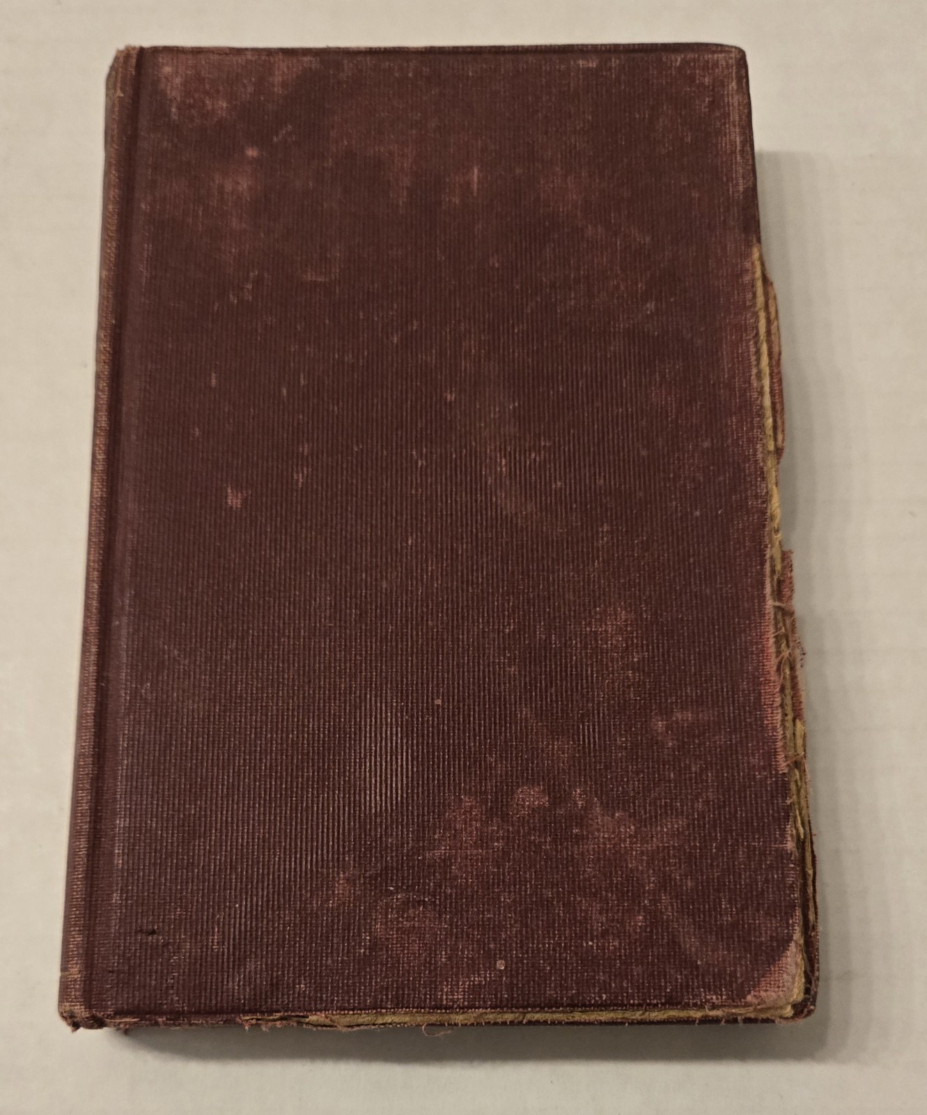 Eugenie Grandet Honore De Balzac Vintage Book 1900-1920 Illustrated by Victor