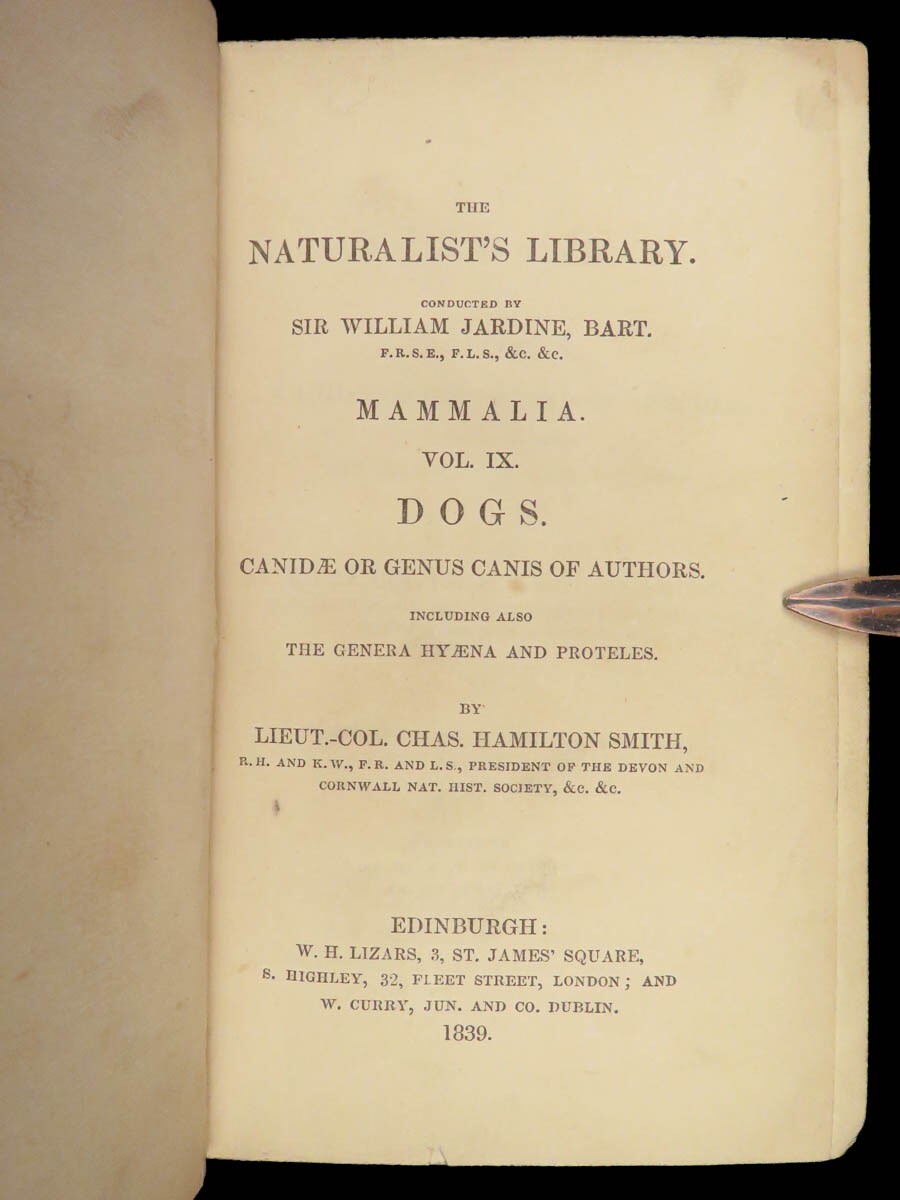 1839 DOGS & Wolves 1ed Huskies Hyenas FOX Jardine Naturalist Illustrated Canines