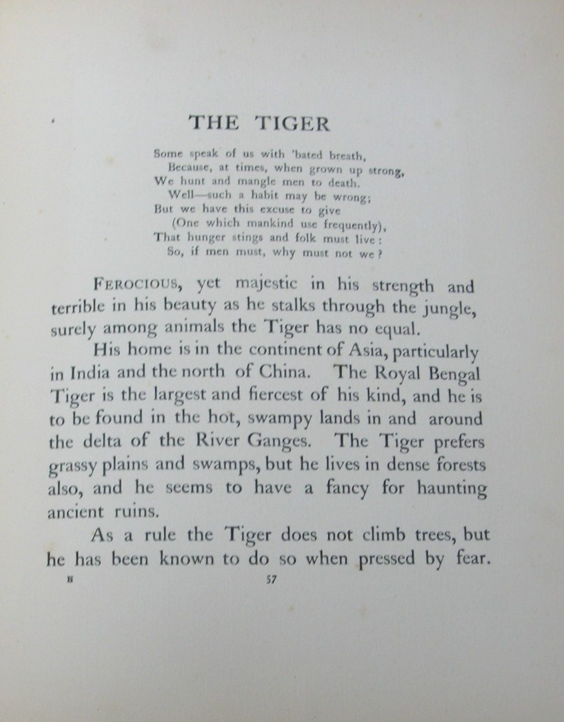 1911 The Book of Baby Beasts- Detmold SIGNED 1st Edition