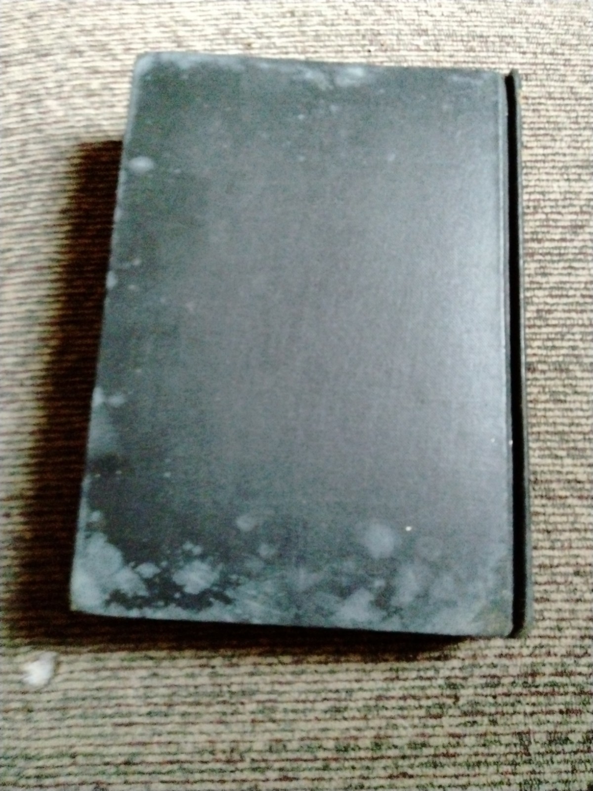 The Children by Edith Wharton, 1928 HC, 1st Edition, 1st Printing