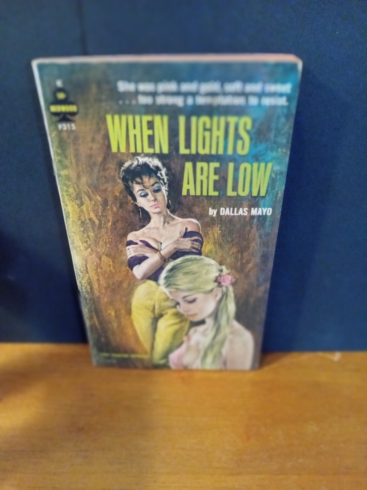 DALLAS MAYO WHEN LIGHTS ARE LOW MIDWOOD LESIBIAN PULP