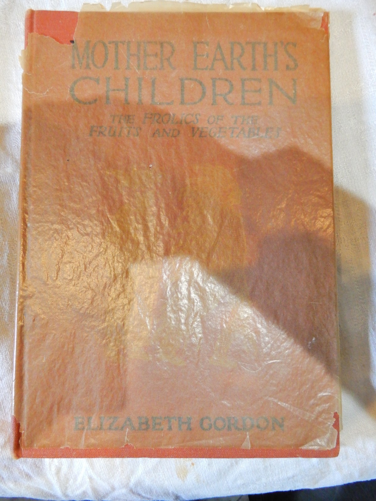 Mother Earth’s Children Frolics of the Fruits and Vegetables 1914 Book E. Gordon