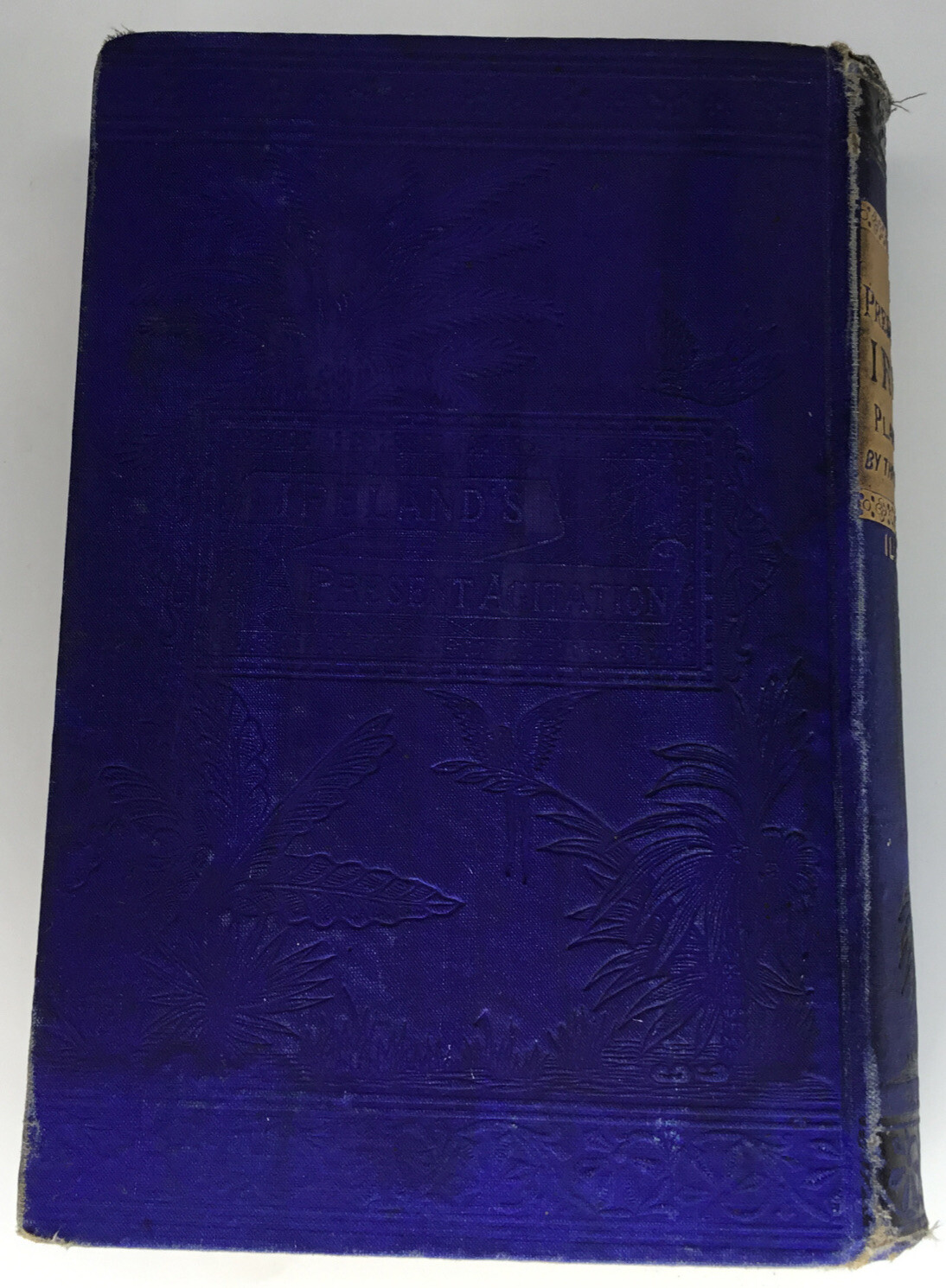The Present Case Of Ireland Plainly Stated M. F. Cusack Unstated 1st Ed 1881