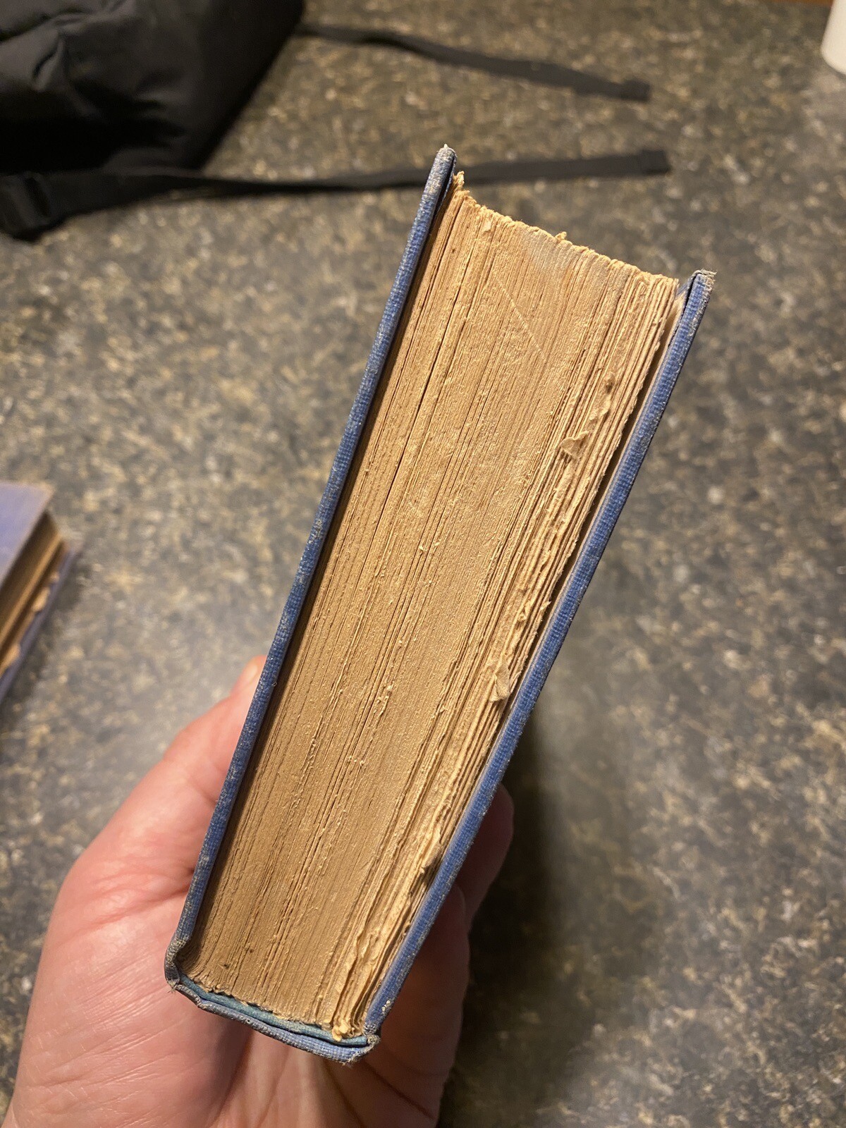 Memoirs of the Empress Eugenie Vol 2 by Comte Fleury 1920 D. Appleton & Co HC