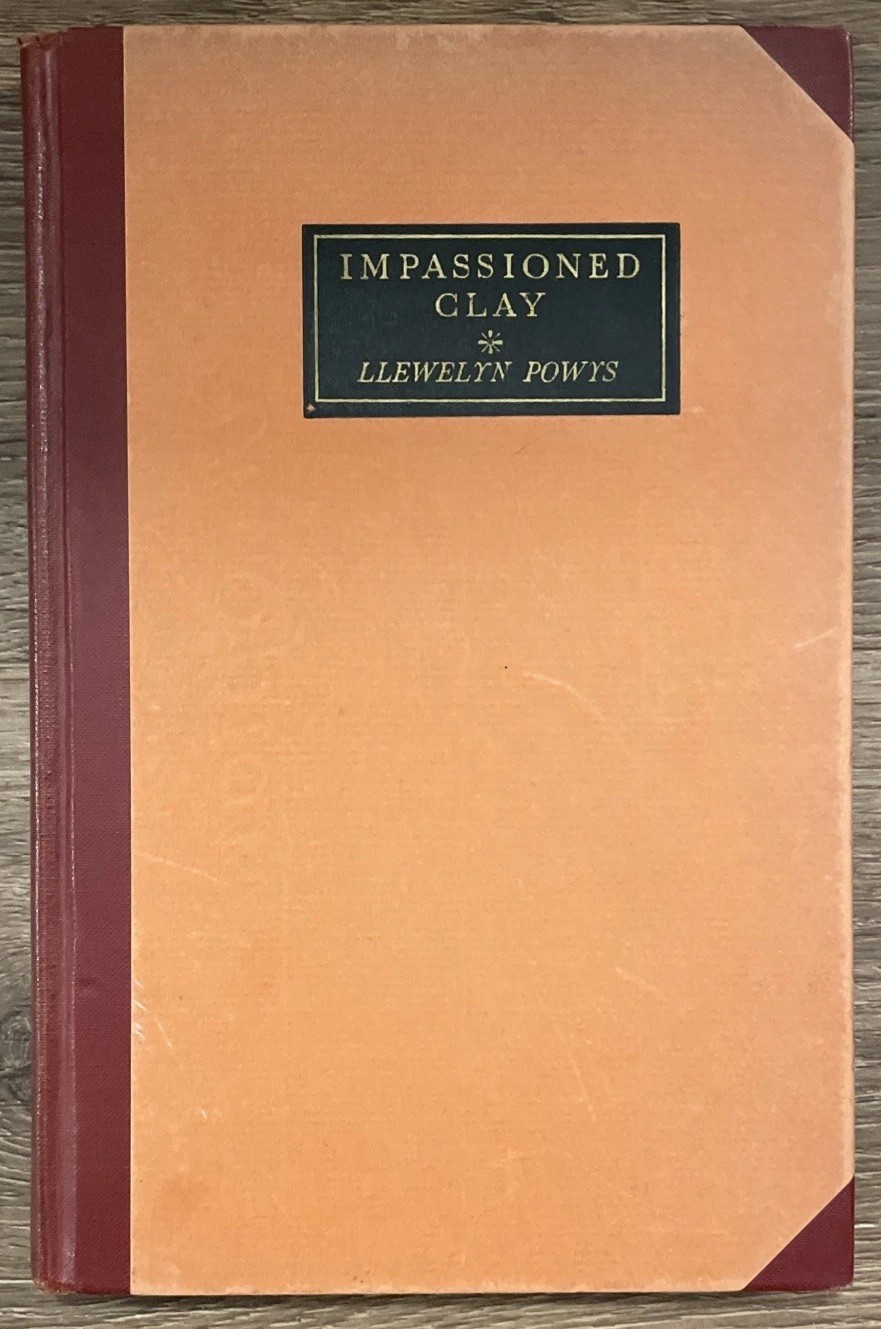 Impassioned Clay 1931 1st Edition Lynd Ward Illustrated Hardcover Book Art