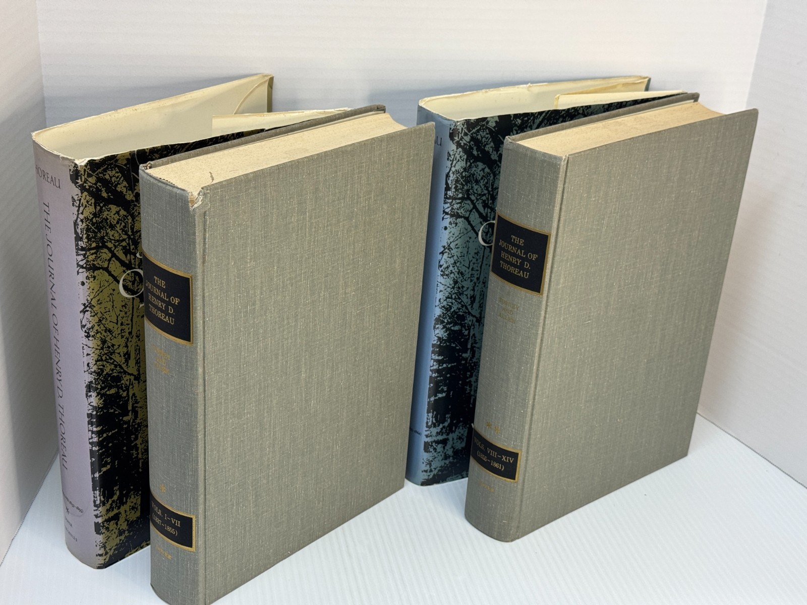 The Journals of Henry D. Thoreau in 14 Volumes Bound as Two (Dover HC set, 1962)