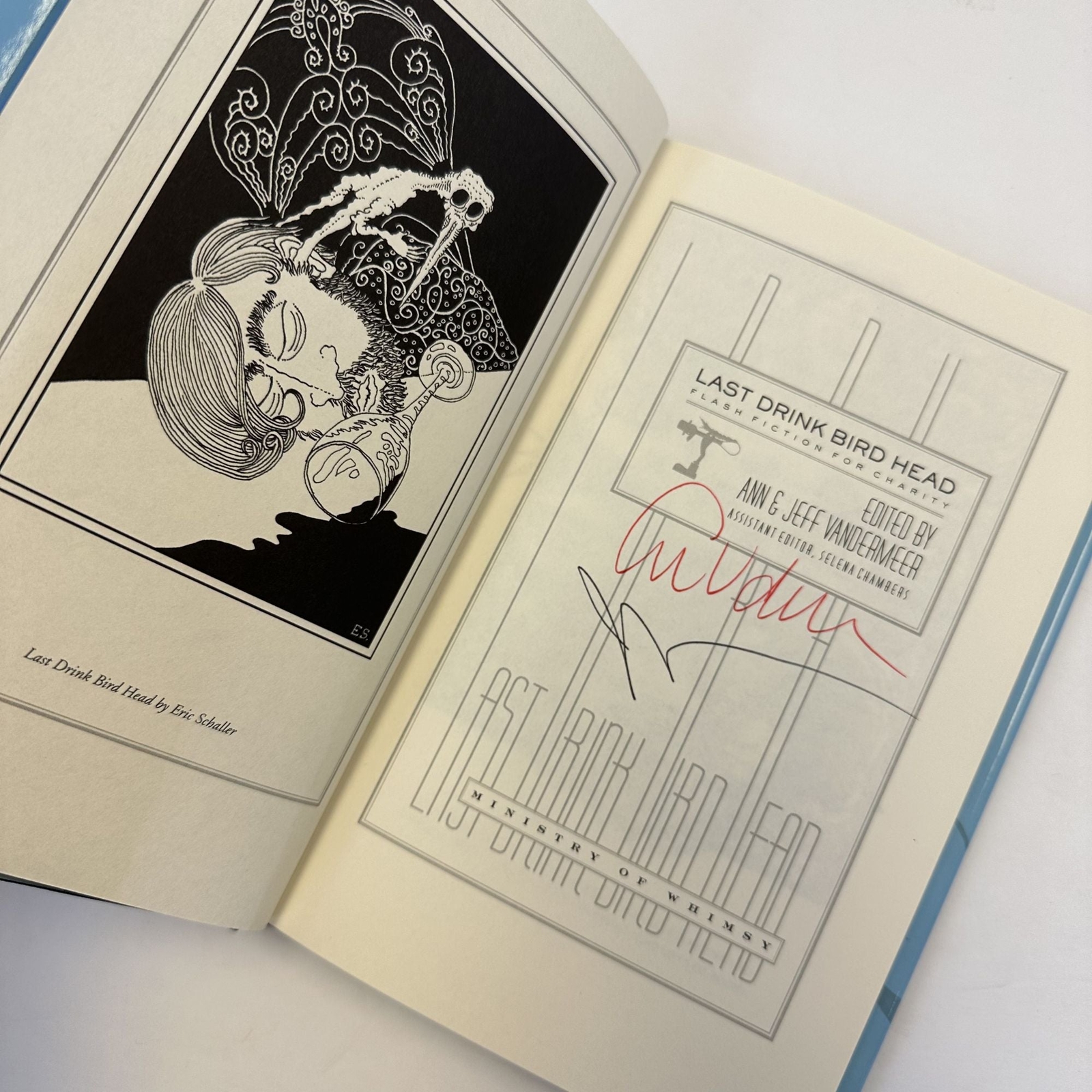 Ann Vandermeer / LAST DRINK BIRD HEAD FLASH FICTION FOR CHARITY Signed 1st