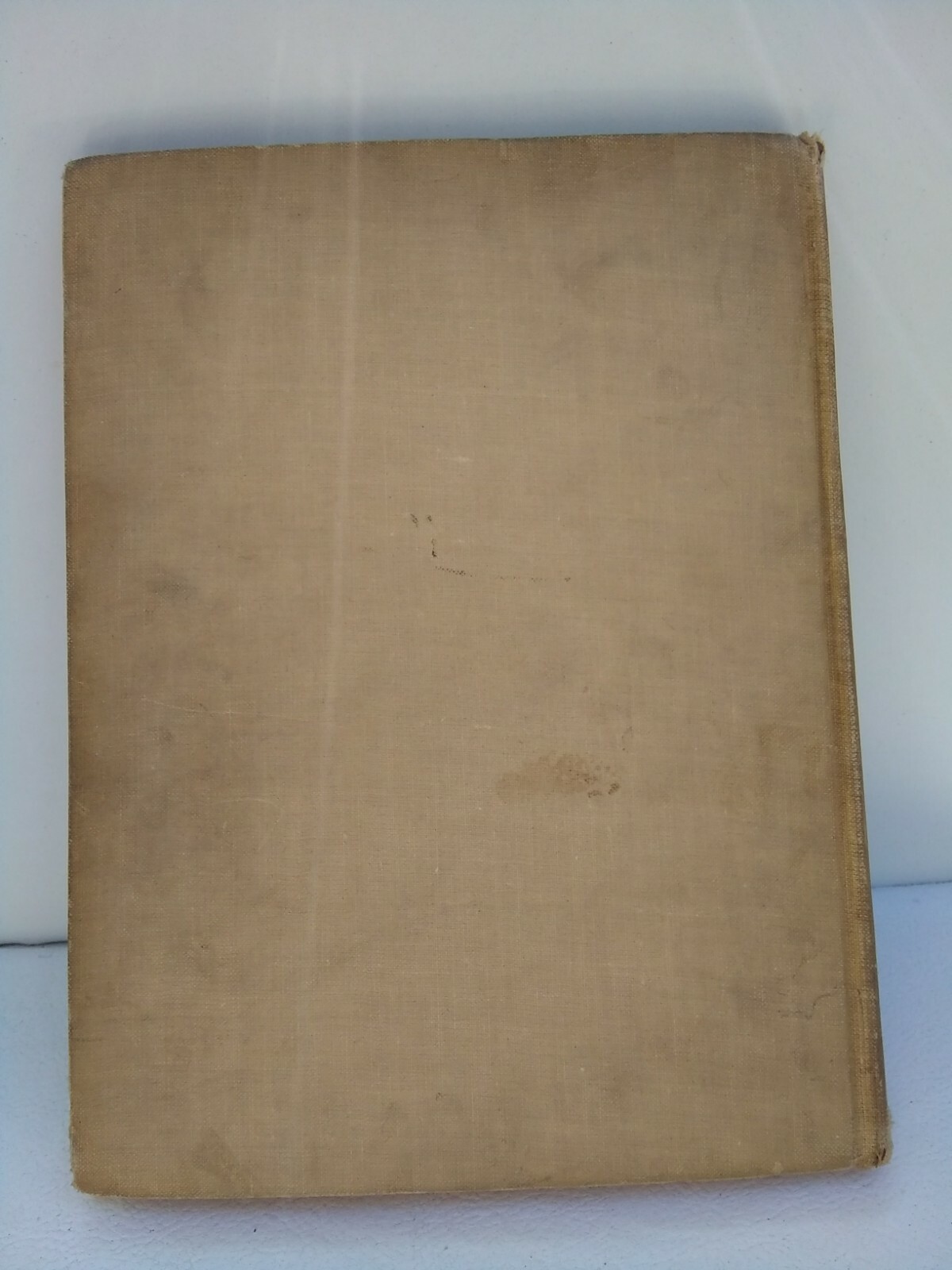 Robinson Crusoe, Daniel Defoe, Illustrations by Walter Paget