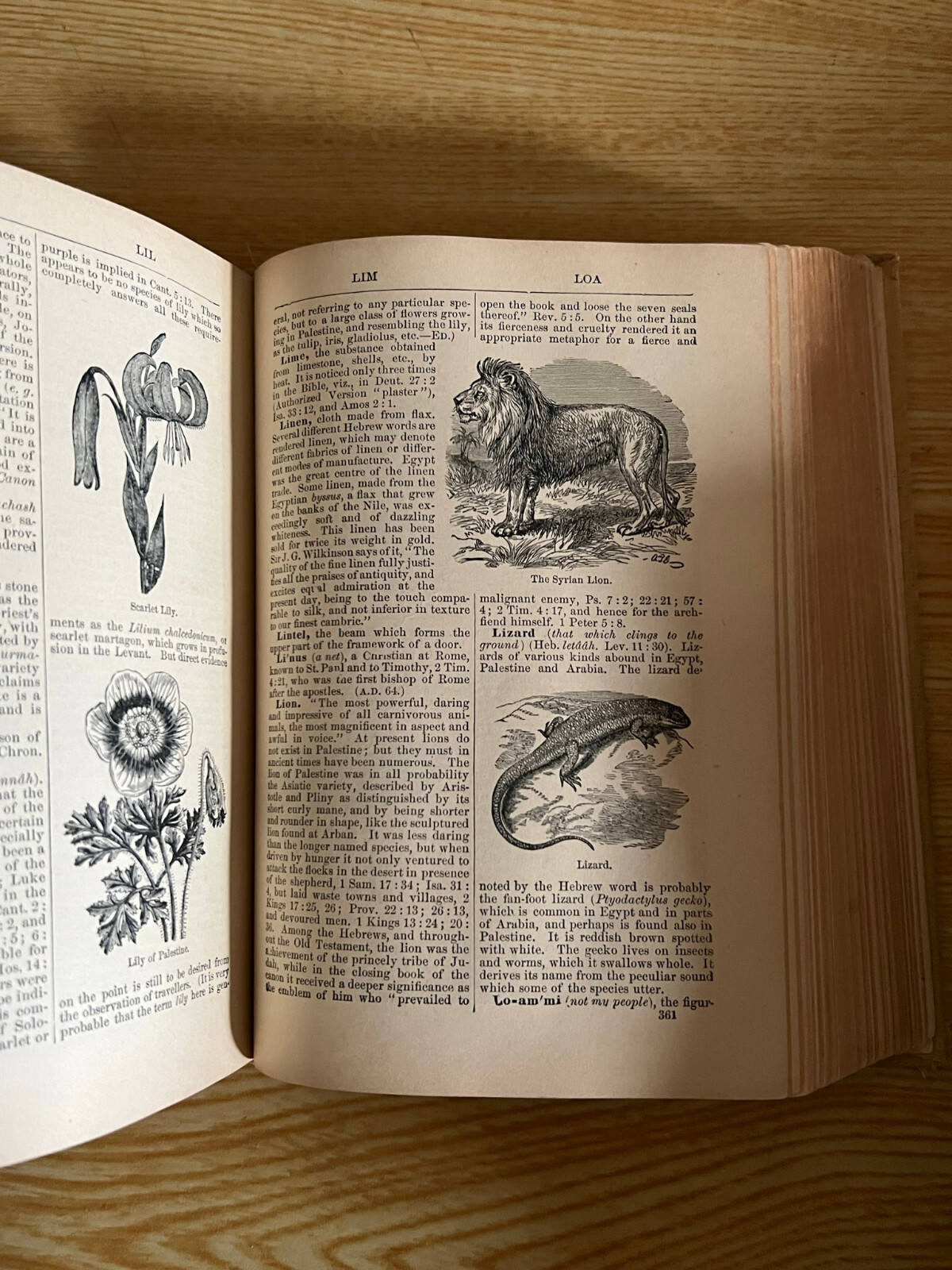 Bible Dictionary by William Smith – Teacher’s Edition 1884