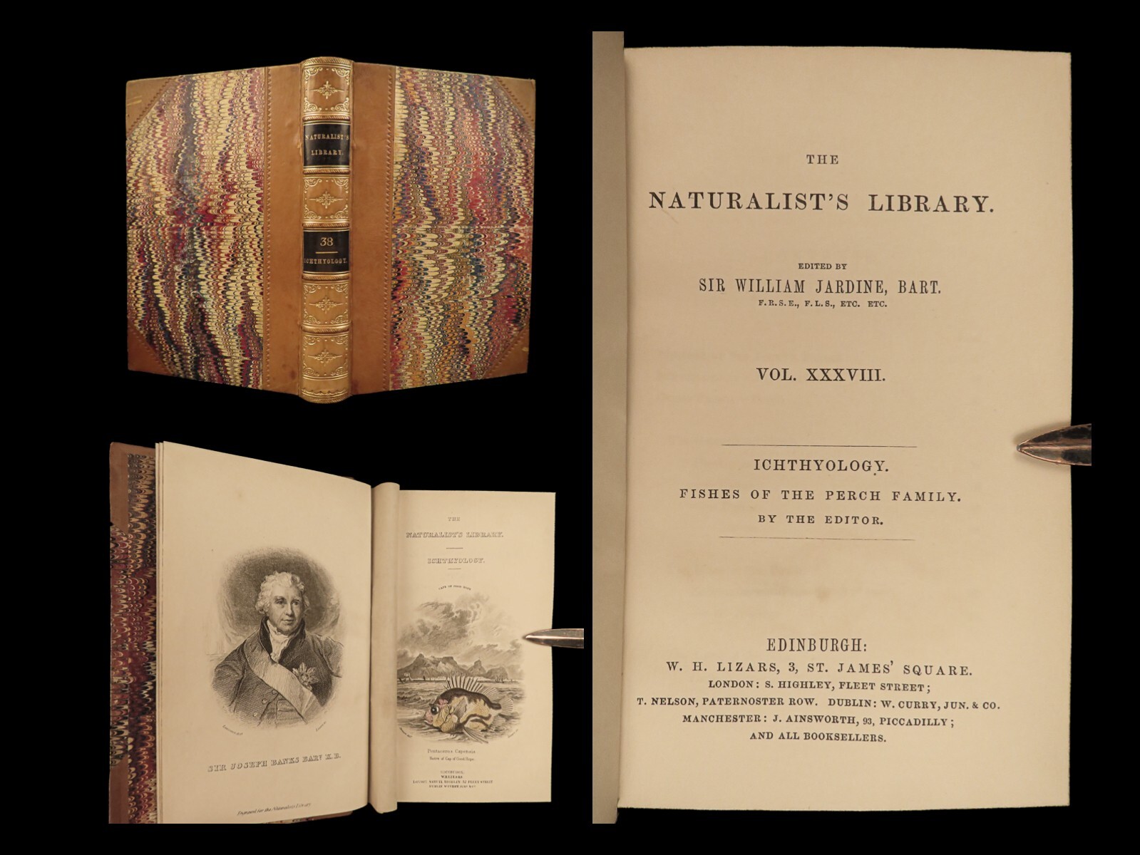 1843 FISH Jardine Naturalist 1st ed Perch Lates Black Bass Growlers FISHING Art