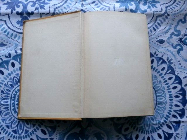1900 ANTIQUE BOOK BY EDWARD NOYAS WESTCOTT PUBLISHED BY D. APPLETON AND COMPANY