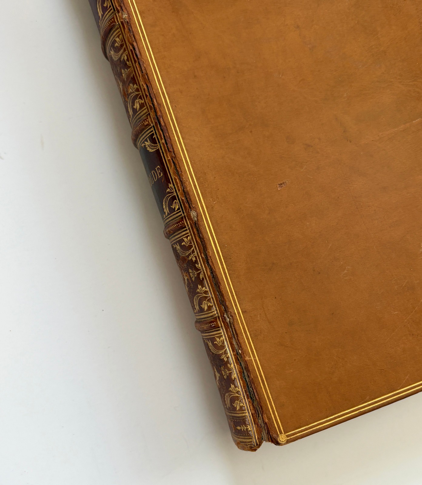 1879 Fine Leather Binding Caesar A Sketch James Anthony Froude
