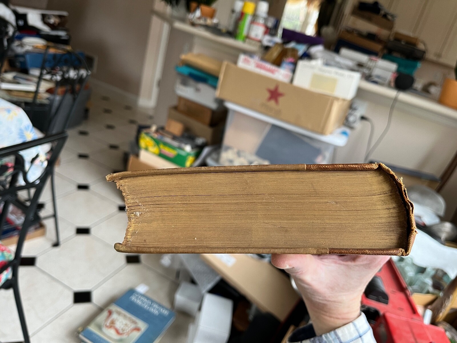 1895 book The Alps From End to End William Martin Conway hiking mountain climb