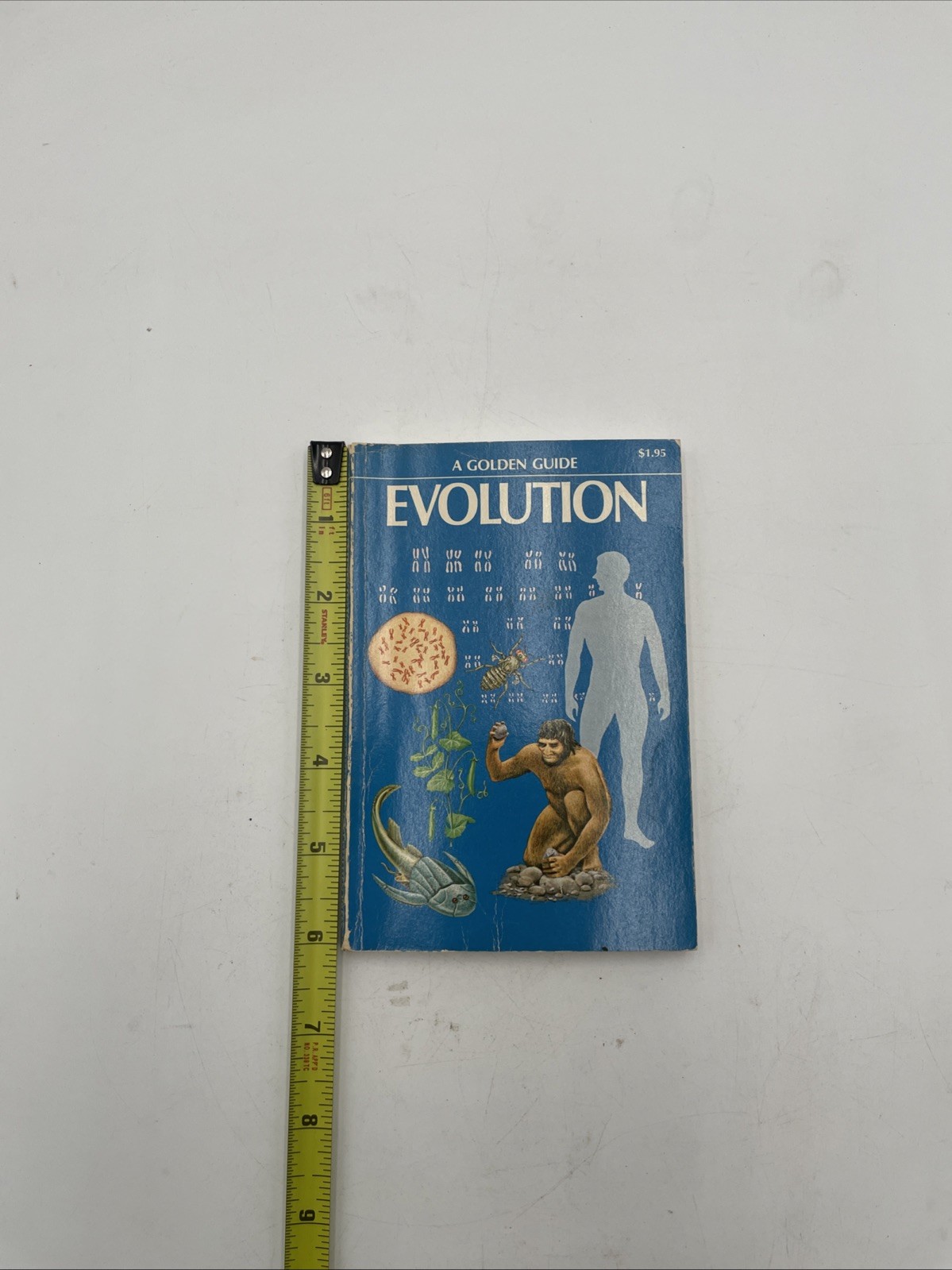Evolution: A Golden Guide By Rhodes (1974) Golden Press Mini Book