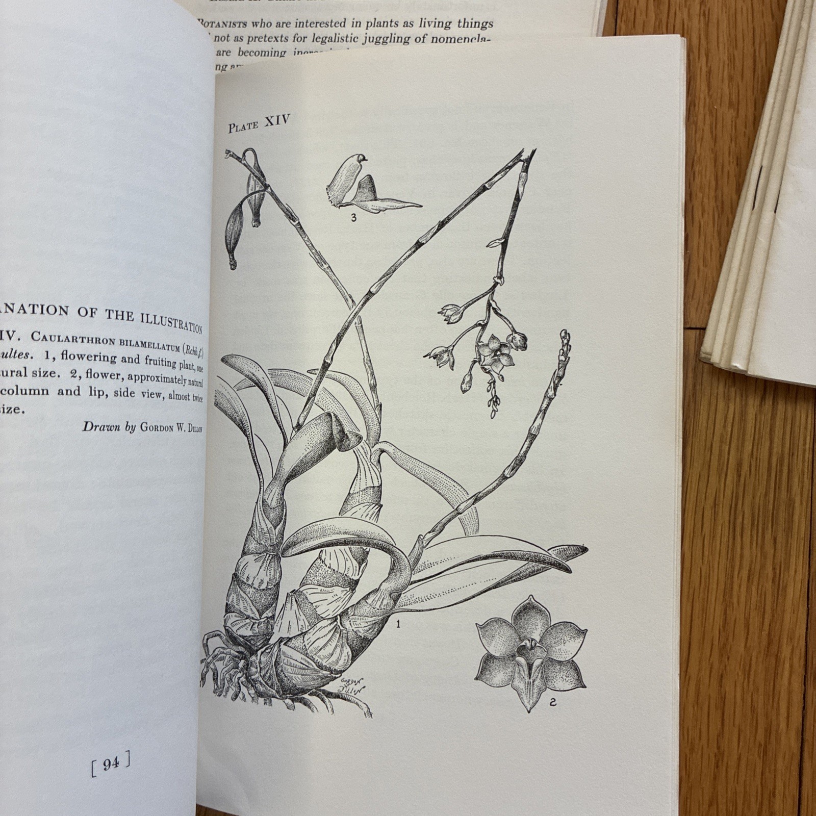 Botanical Museum Leaflets ~ Harvard University • Richard Evans Schultes 1949-59