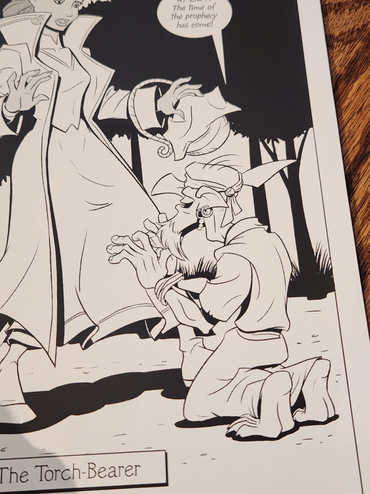 Super Sleepover Spectacular Dunce Cap / Signed Art Book Pinup Graphic Novel