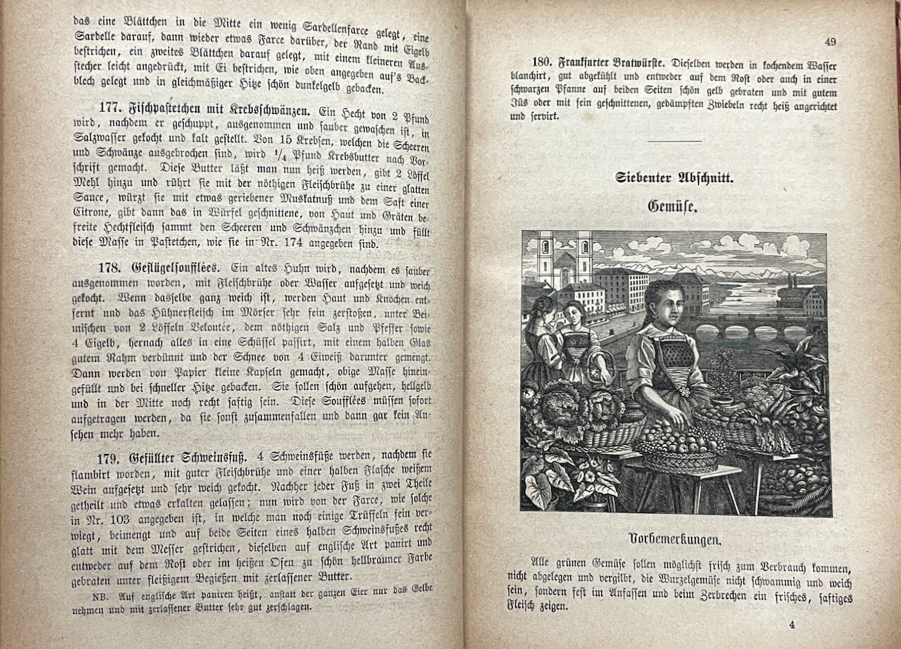 Neues Illustrirtes Schweizer Kochbuch [New Illustrated Swiss Cookbook] 1876