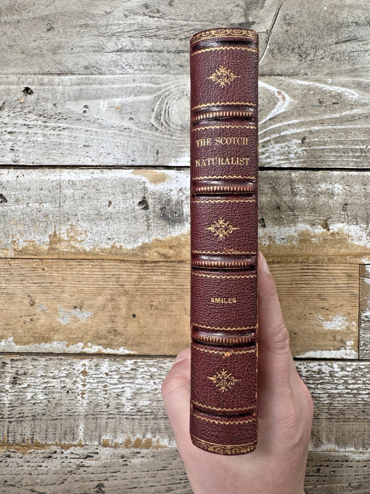 c. 1876 Antique Nature Book “Life of a Scotch Naturalist” Edward, Fine Binding