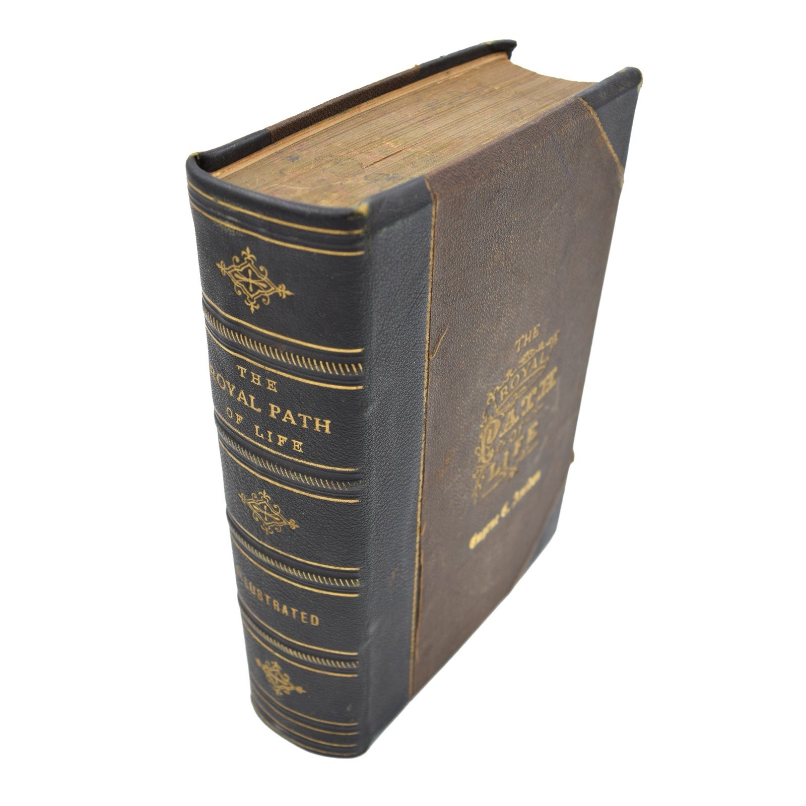 1876 THE ROYAL PATH OF LIFE Aims & Aids To Success & Happiness T. L. Haines