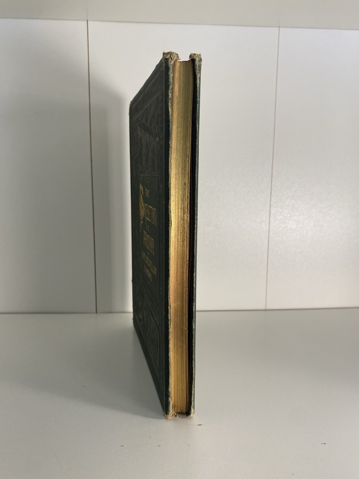 1877 LONGFELLOW The Skeleton In Armor Illustrated Victorian Binding Antique