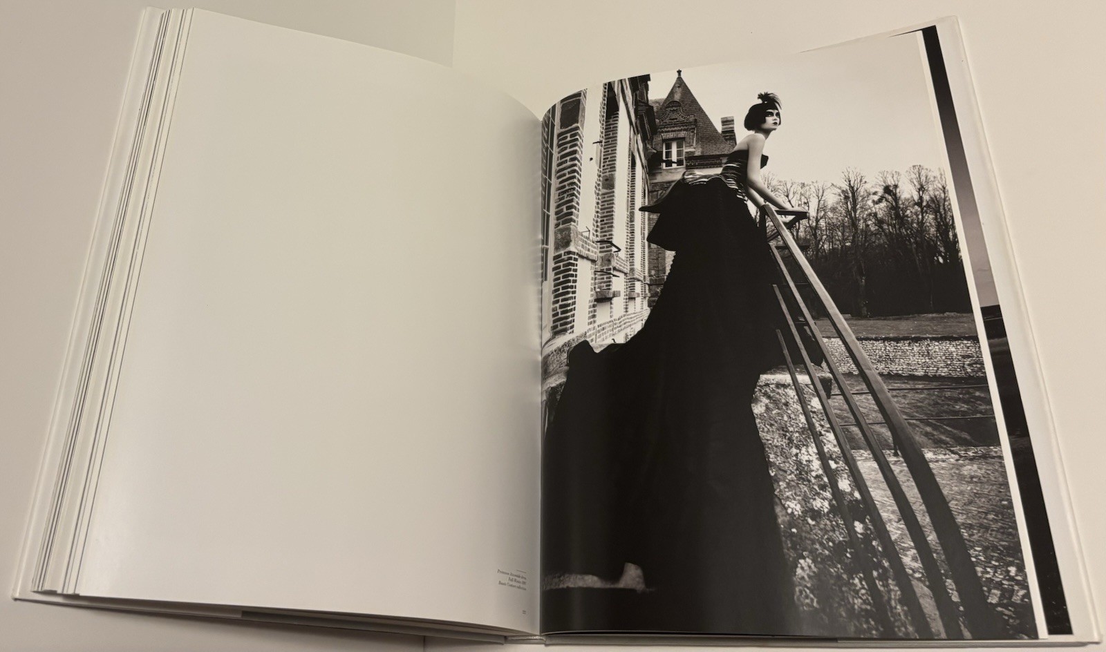 OVERSIZED Dior Couture Patrick Demarchelier Hardcover Book DJ High Fashion