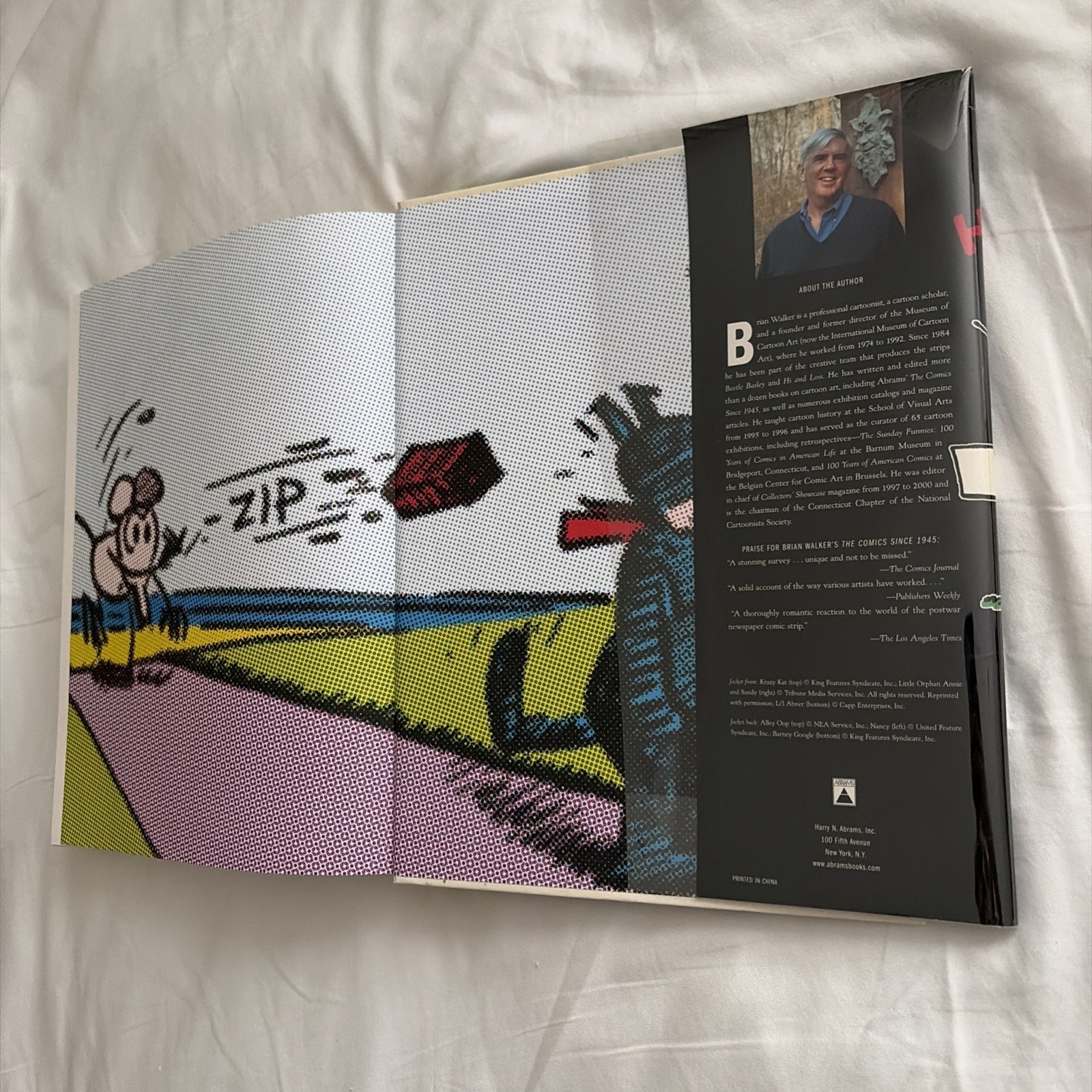 The Comics : Before 1945 Hardcover Brian Walker