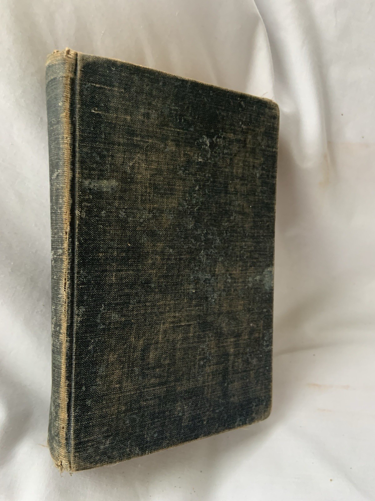 1894 Mark Twain Pudd’NHead Wilson Extraordinary Twins First Edition marked D-U