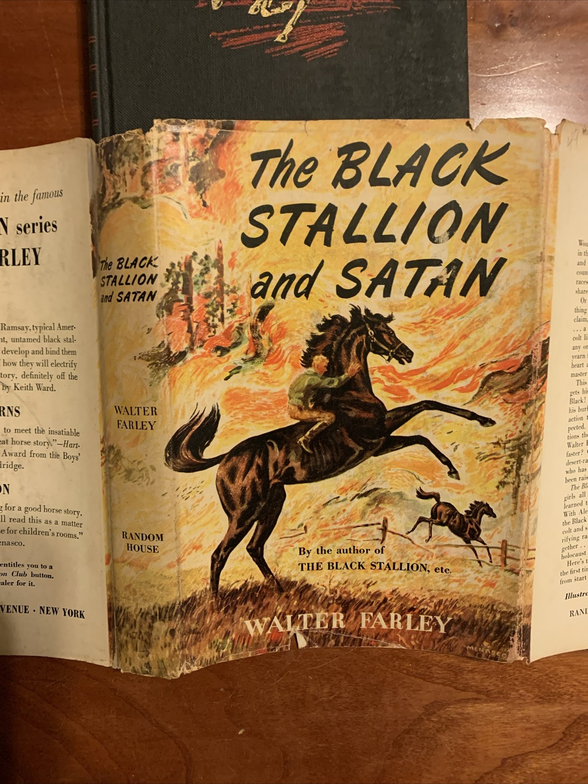 The Black Stallion and Satan Walter Farley 1949 First Edition First Printing DJ