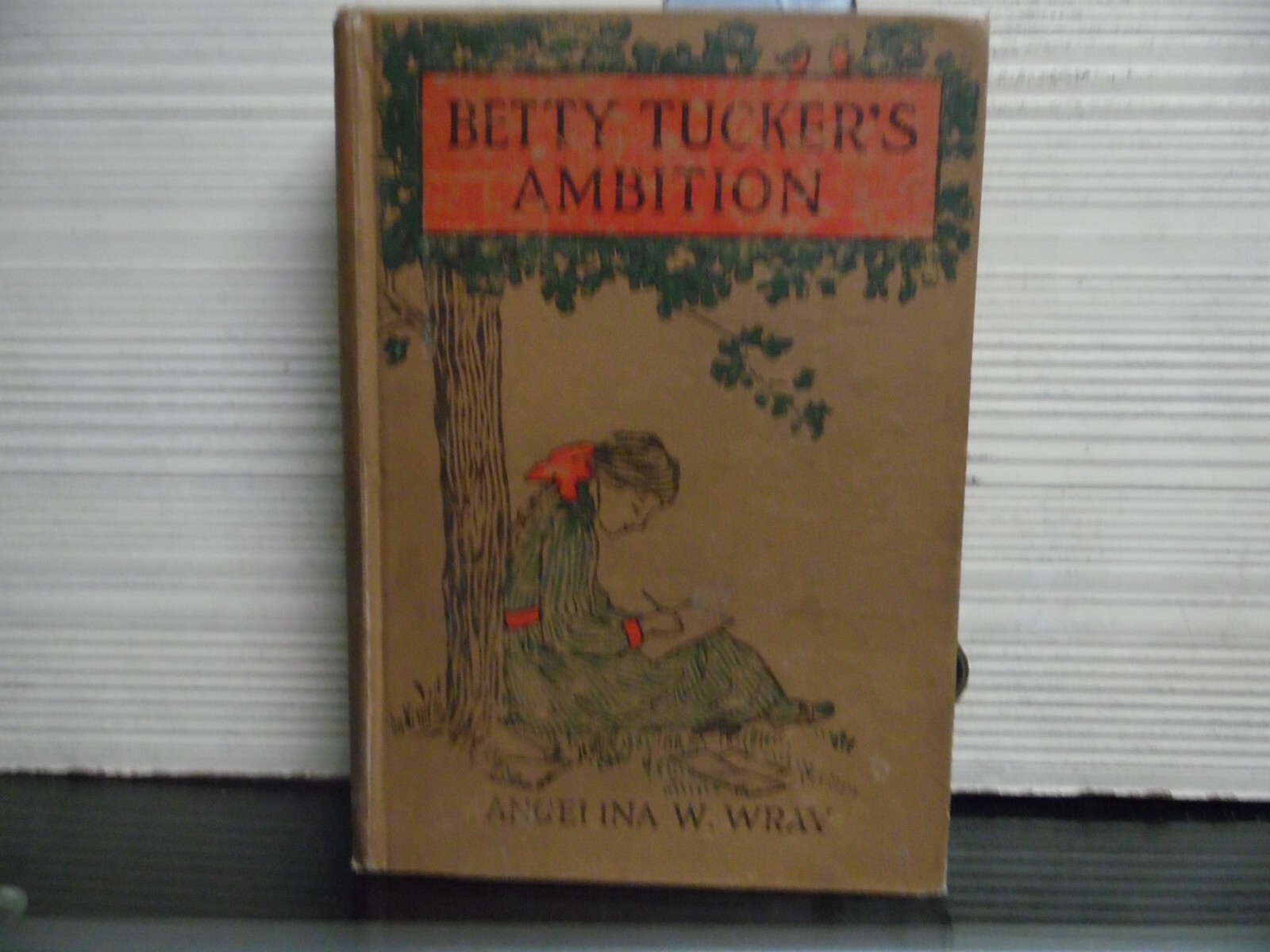 BETTY TUCKER’S AMBITION – 1913 – 1ST EDITION – ANGELINA W WRAY – HARDCOVER