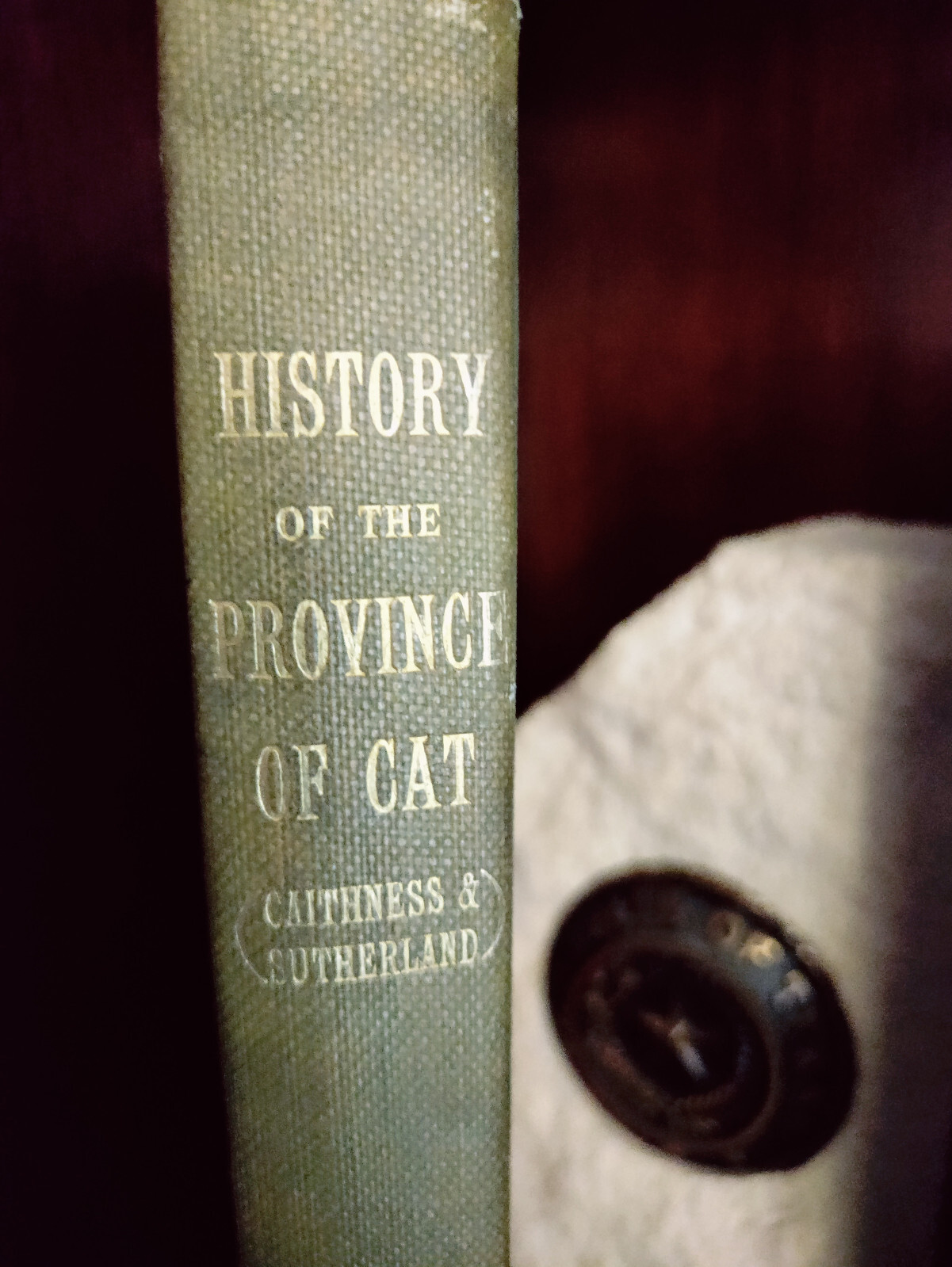 *RARE*_ANTQ_History of Province of Cat (Caithness)_Angus McKay_1914_Very Good