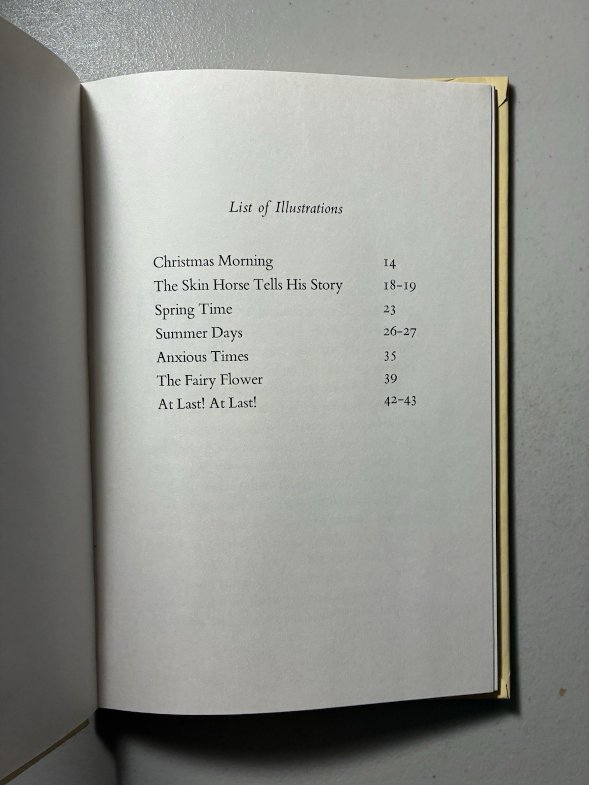 The Velveteen Rabbit by Margery Williams 1st Edition 15th Printing VGC