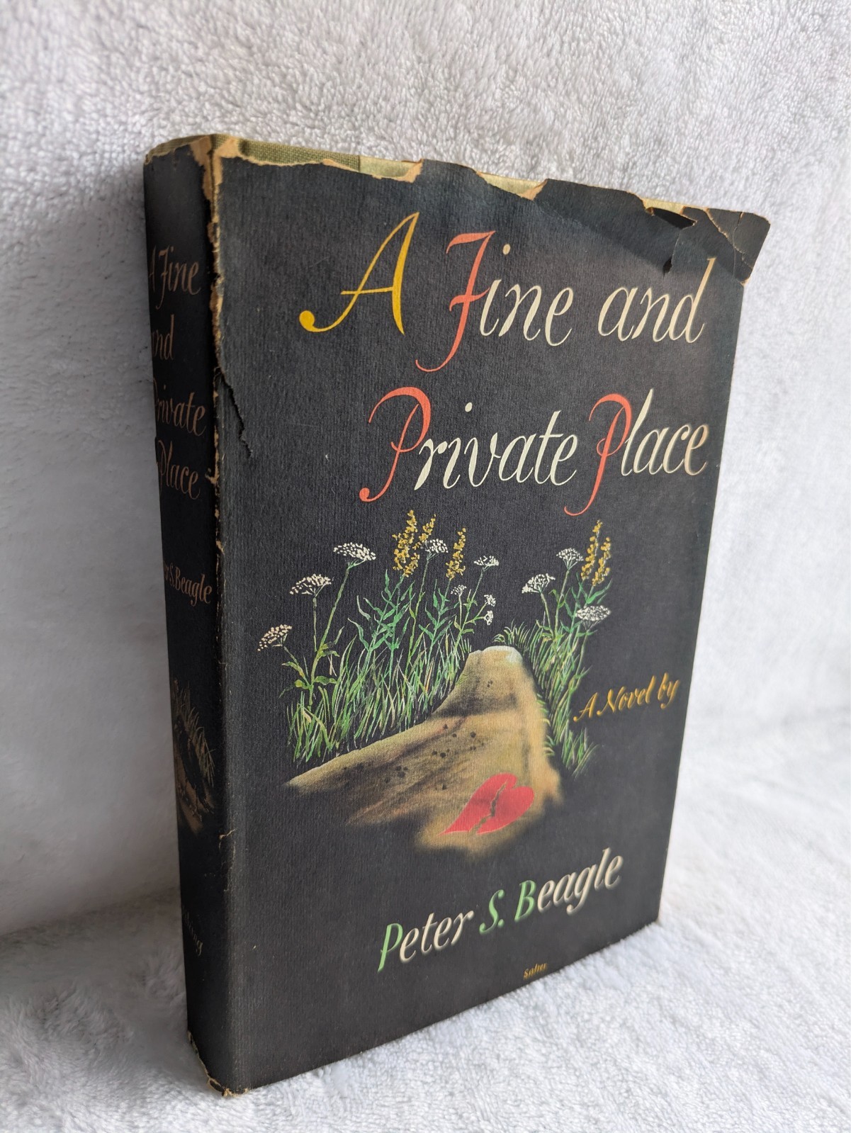 A Fine And Private Place Peter S. Beagle 1960 First Edition Hardcover Fantasy