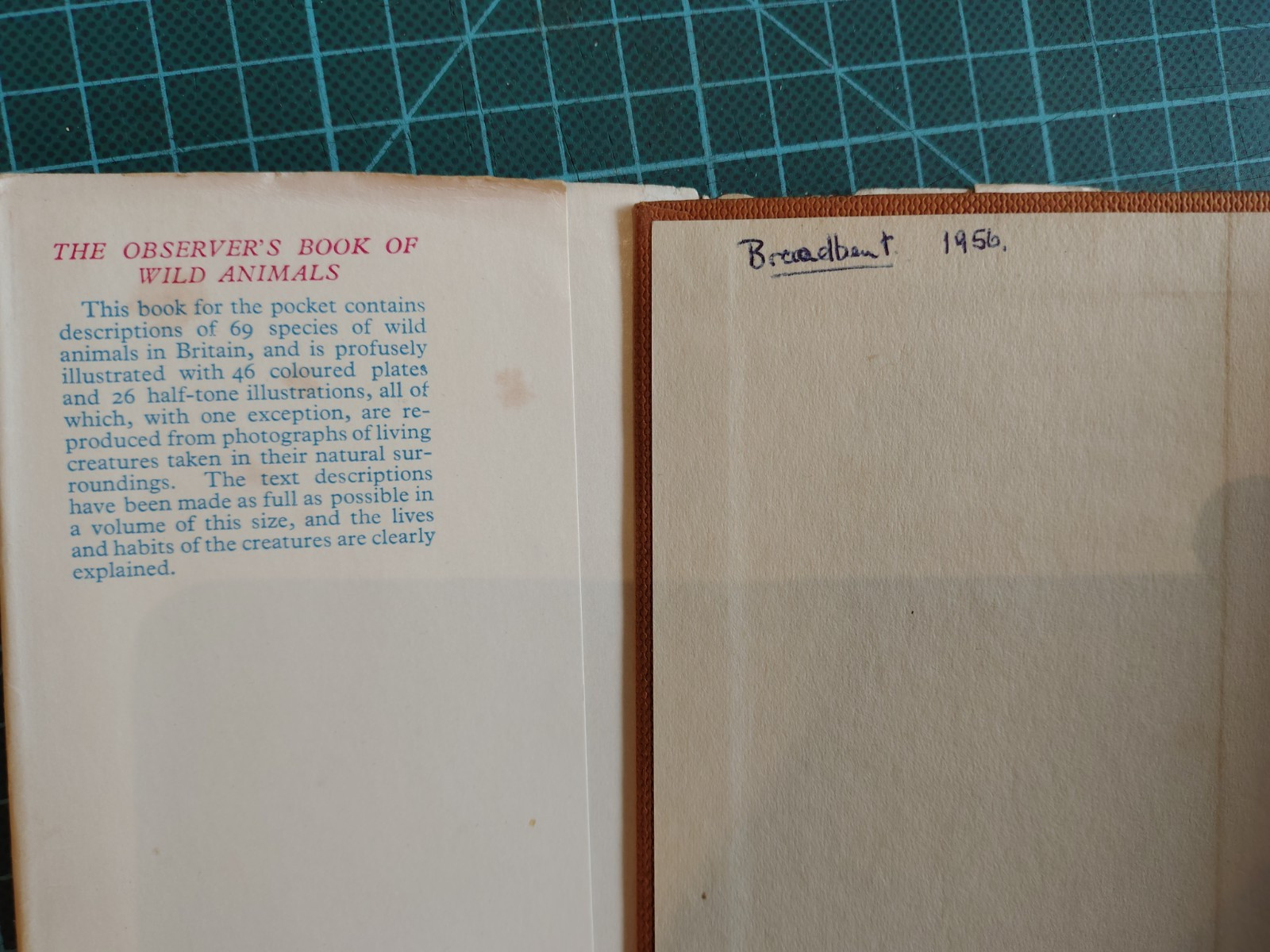 8 x The Observer’s Book of # 2, 3, 4, 5, 19, 20, 21, 38, all with dust covers.