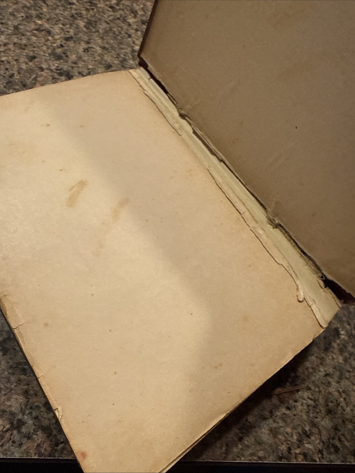 Antique Kansas Hell Prison Life Book 1889
