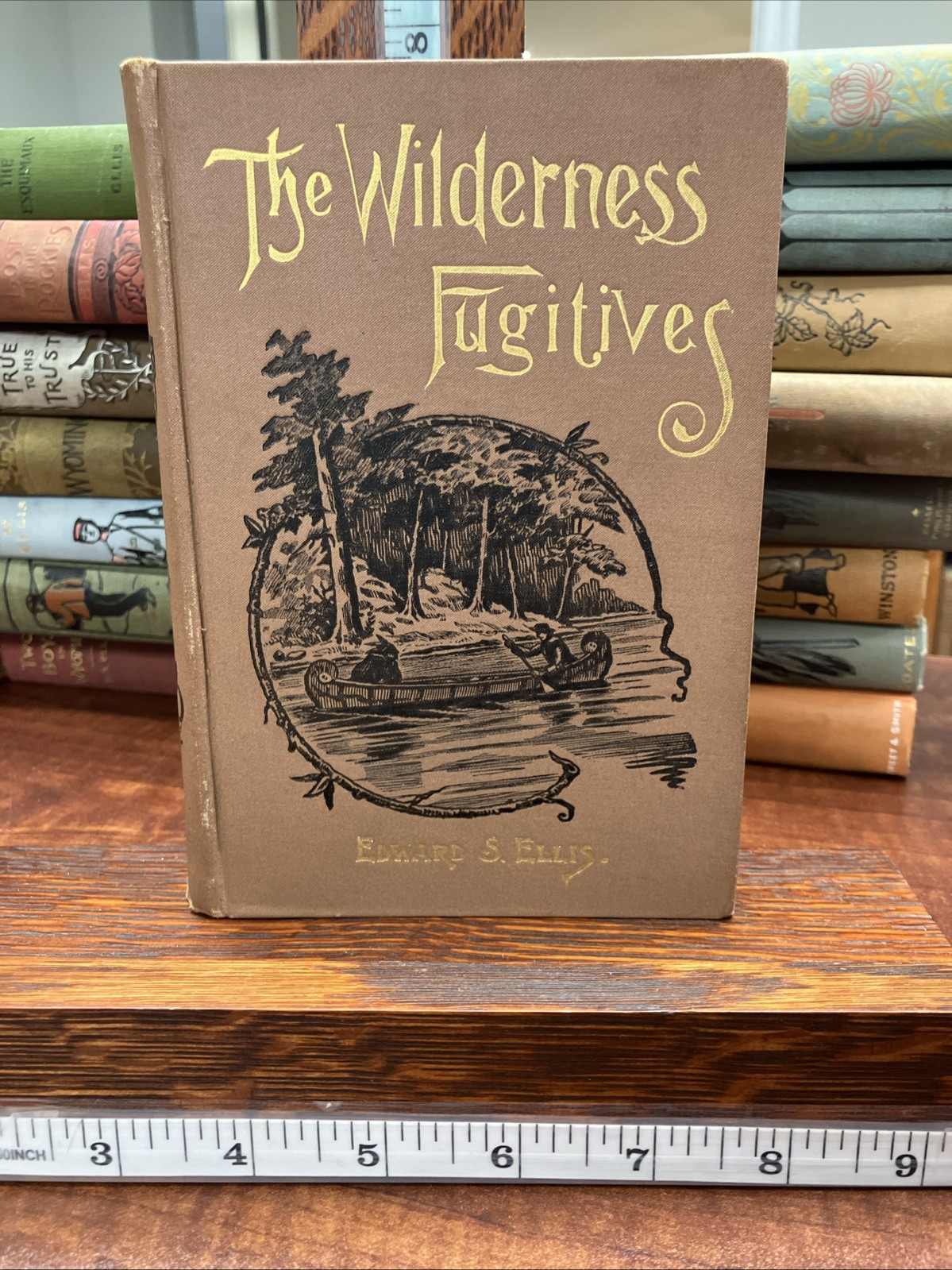 The Wilderness Fugitives 1893 Edward Ellis Price-McGill Co. Hardcover