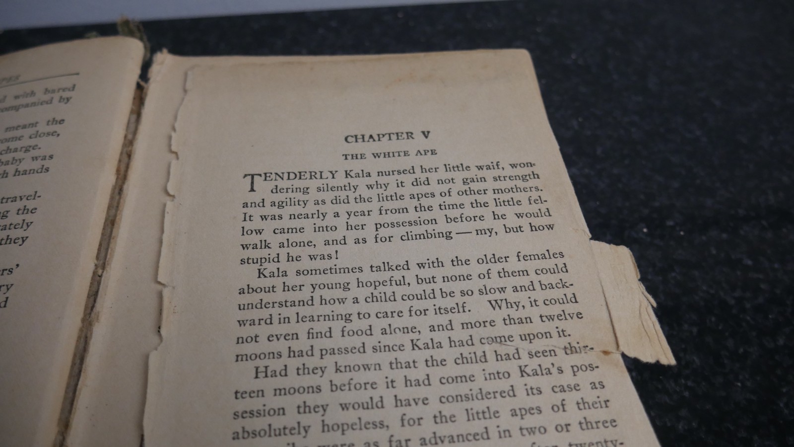 Tarzan of the Apes, Edgar Rice Burroughs – A.C. McClurg & Co, 1914 First Edition
