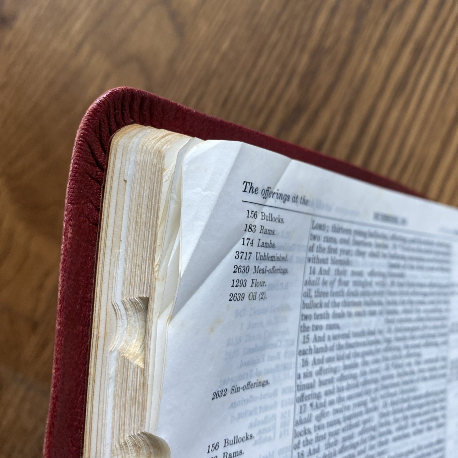 Thompson Chain Reference Bible KJV 1982 Kirkbride 69th Print Genuine Leather VTG