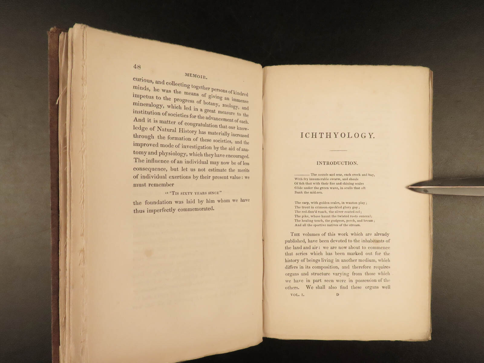 1835 Jardine Naturalist FISH Ichthyology Perch Black Bass Hawkfish FISHING