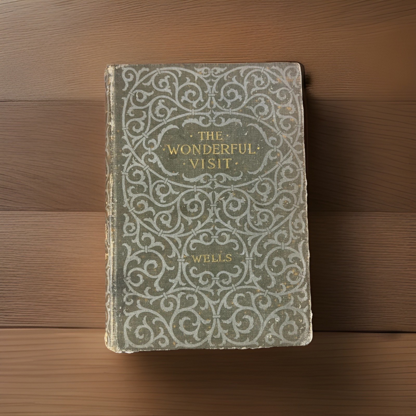The Wonderful Visit by H. G. Wells 1895 First American Edition Hardcover Macmill