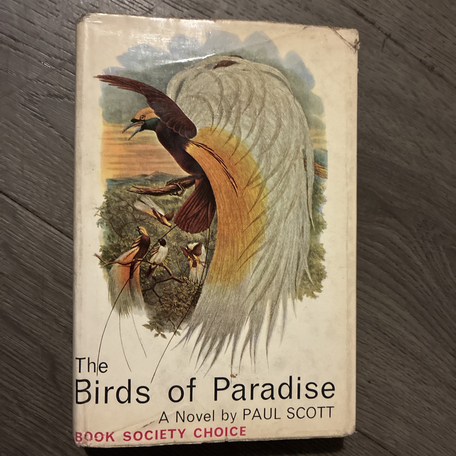 Paul Scott – The Birds of Paradise – 1st edition 1962 in Dustwrapper