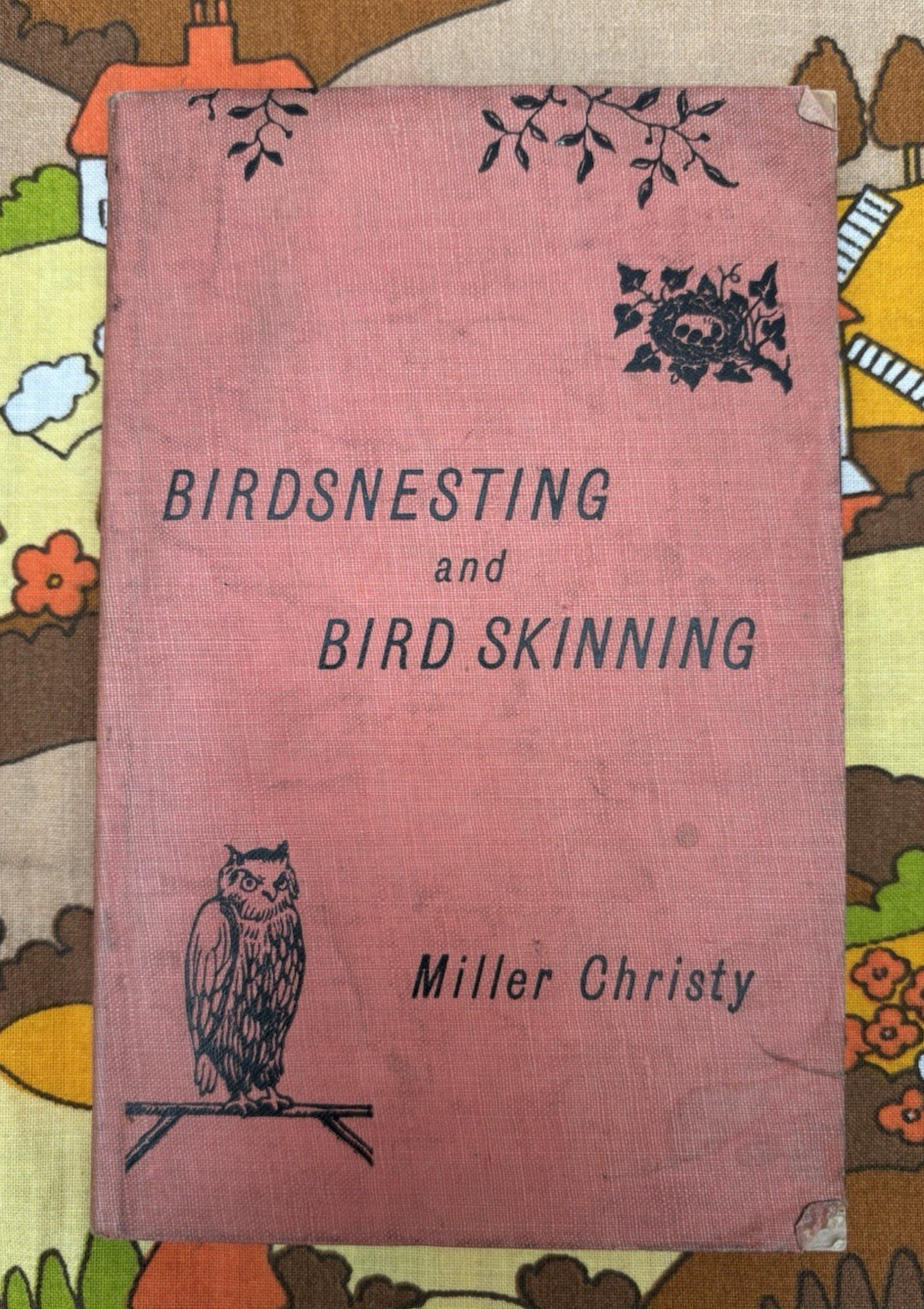 Antique Book, Birds Nesting, Miller Christy, 1888, Ornithology, T. Fisher Unwin