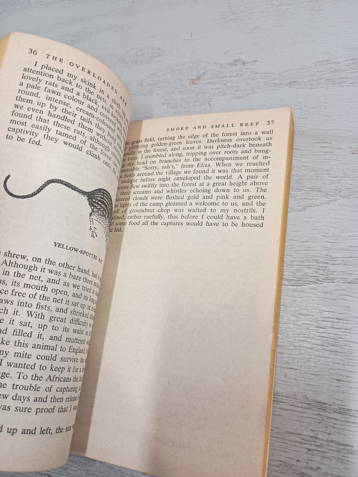 THE OVERLOADED ARK by Gerald M. Durrell; 1953 Paperback