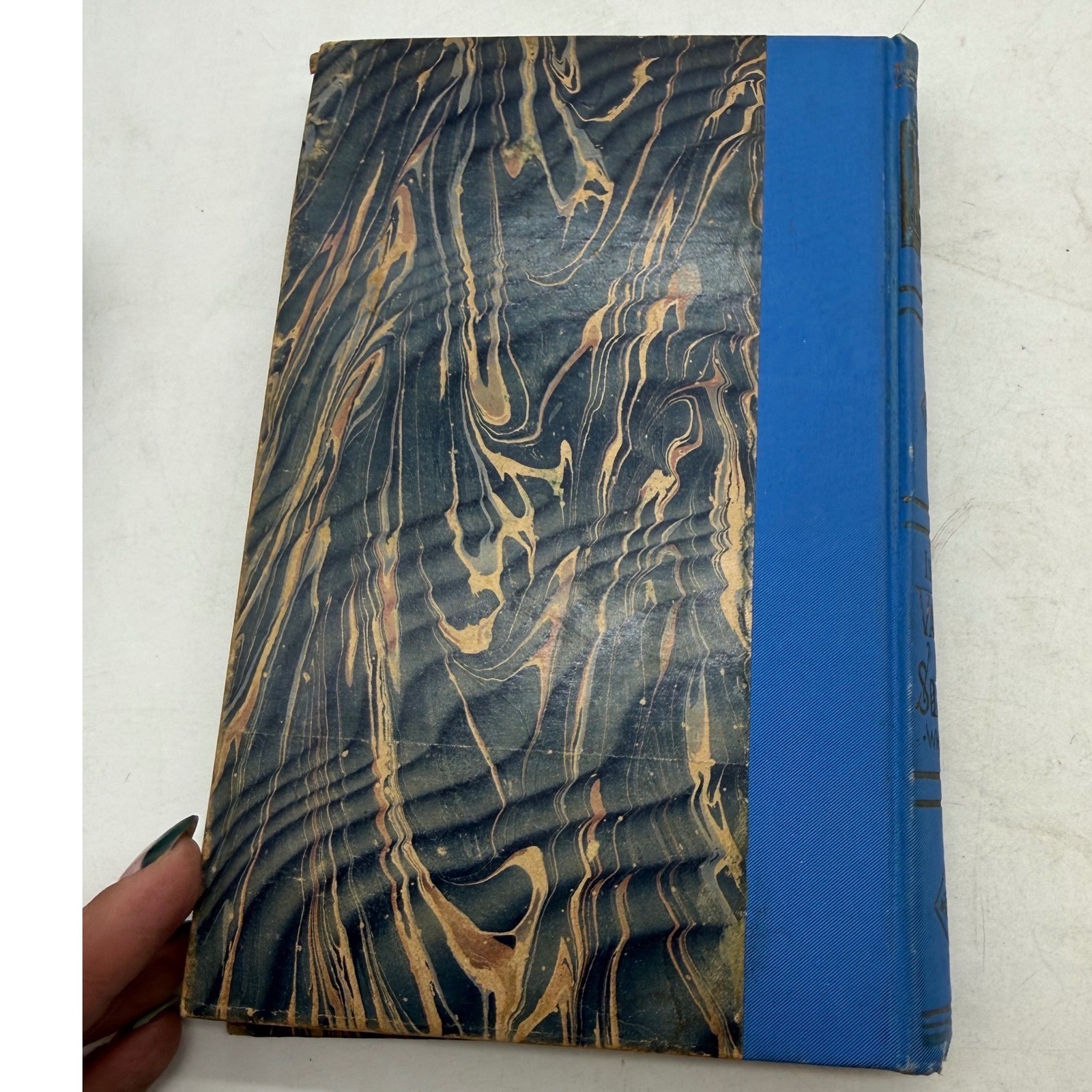 Rays of Light in the Valley of Sorrow Henry Wheeler 1898 Religious Antique Book