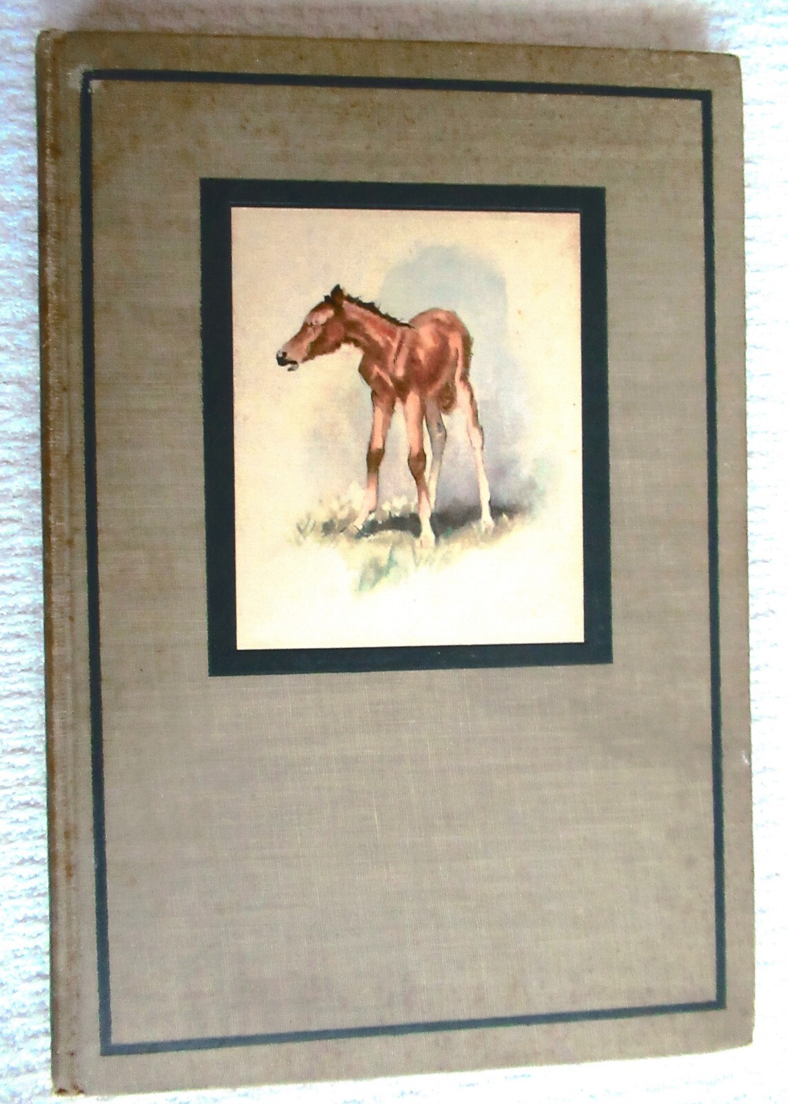 THE RED PONY John Steinbeck, Wesley Dennis Illustrations, Viking Press 1945 HC