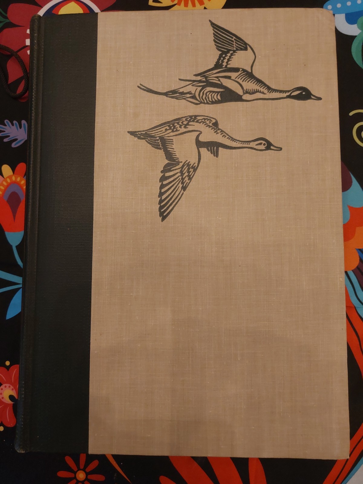 Collectors: Birds of America 1917, 1936 Antique with Full Color Illustrations